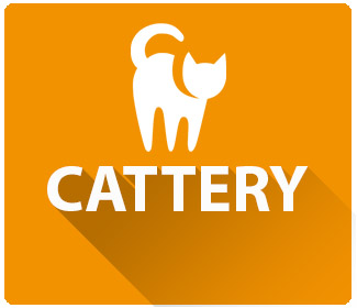 Cattery2