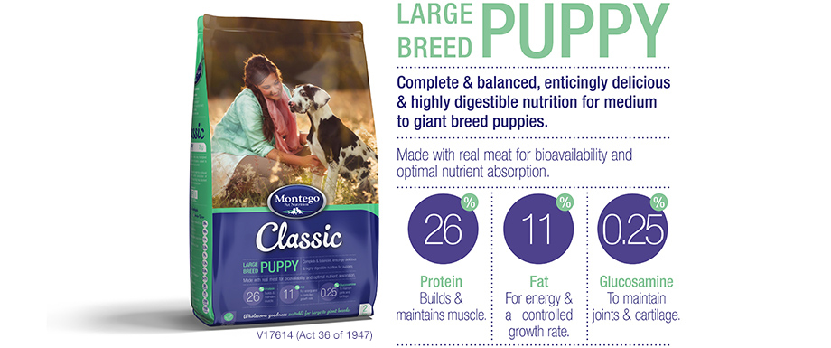 montego classic puppy large breed 25kg